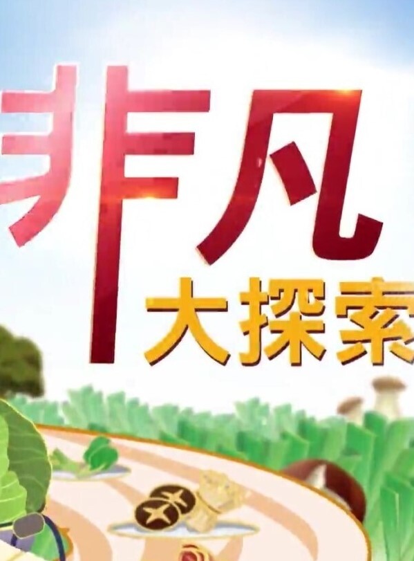 MD-0190-5 我是苏畅 我回来了 - 海滩露出玩弄雪白巨乳 - 主播视频